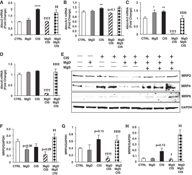 Fig. 11.