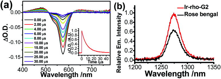 Fig. 2