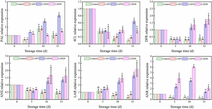 FIGURE 4