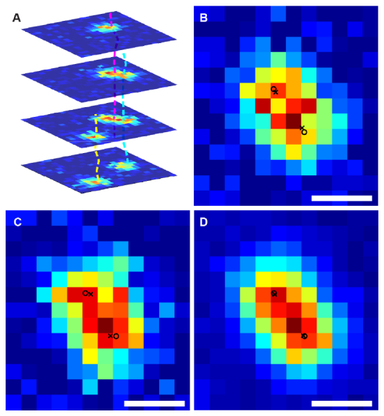 Fig. 4