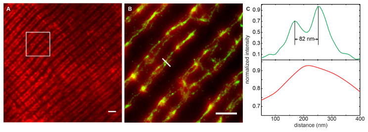 Fig. 7