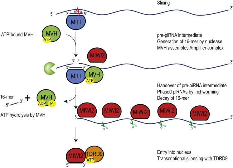 Figure 6