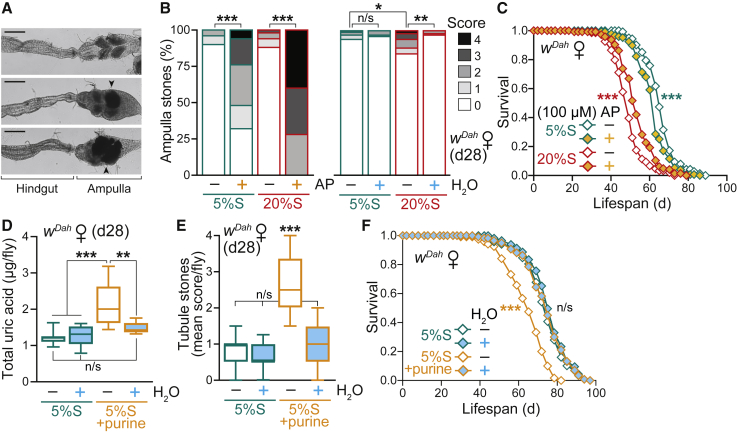 Figure 6