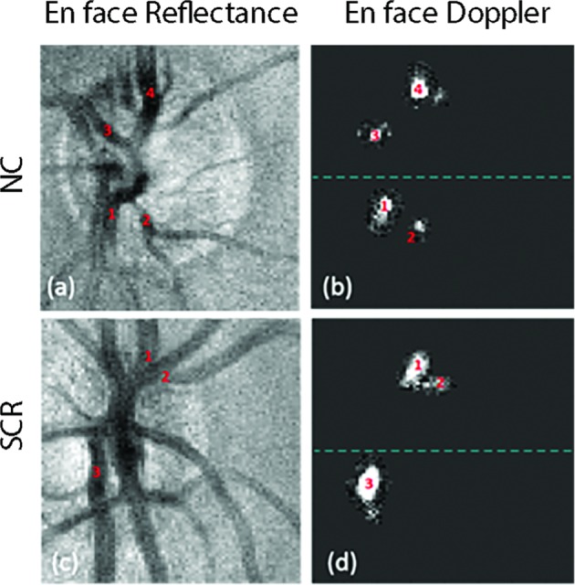 Fig. 2