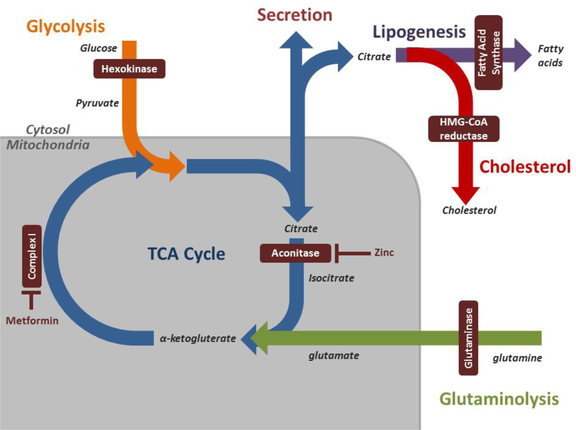 Figure 1: