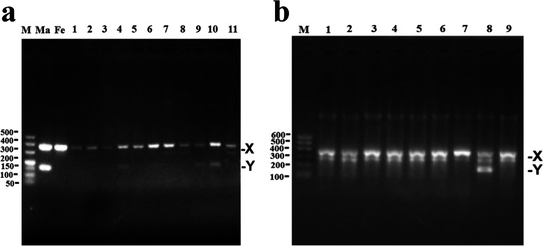 Fig. 7