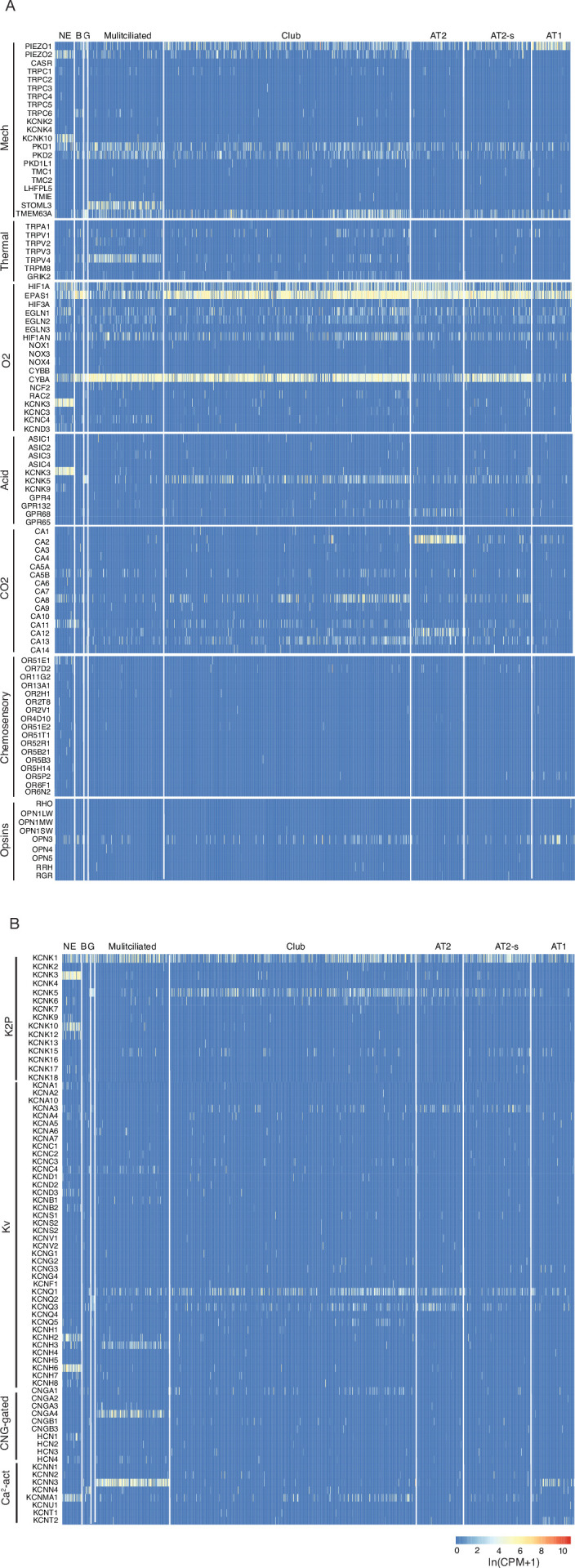 Figure 6—figure supplement 5.