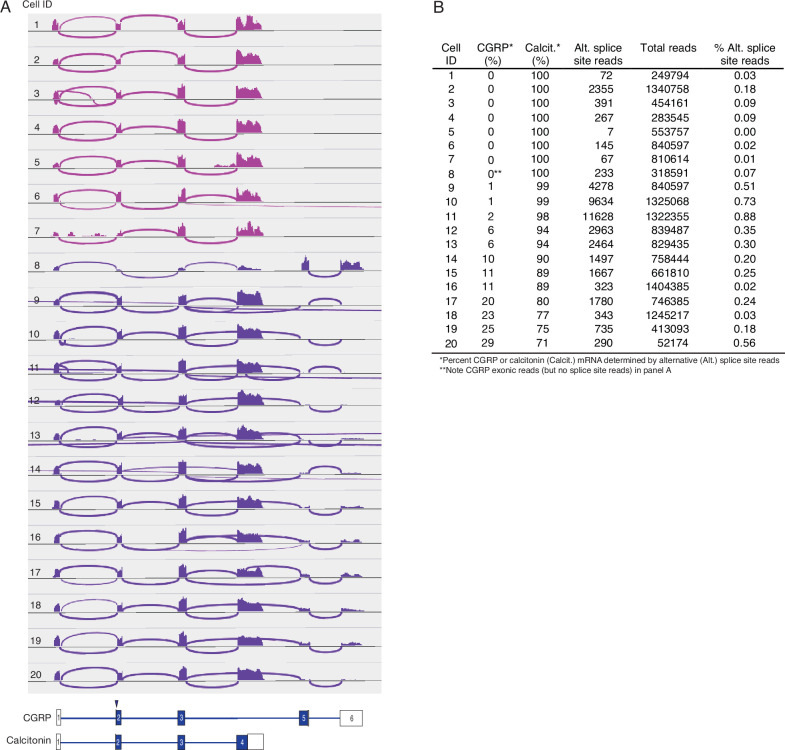 Figure 6—figure supplement 2.