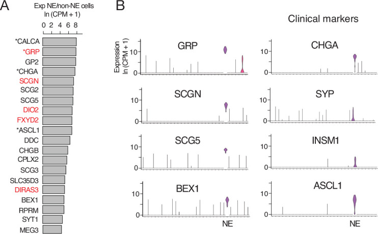 Figure 6—figure supplement 1.