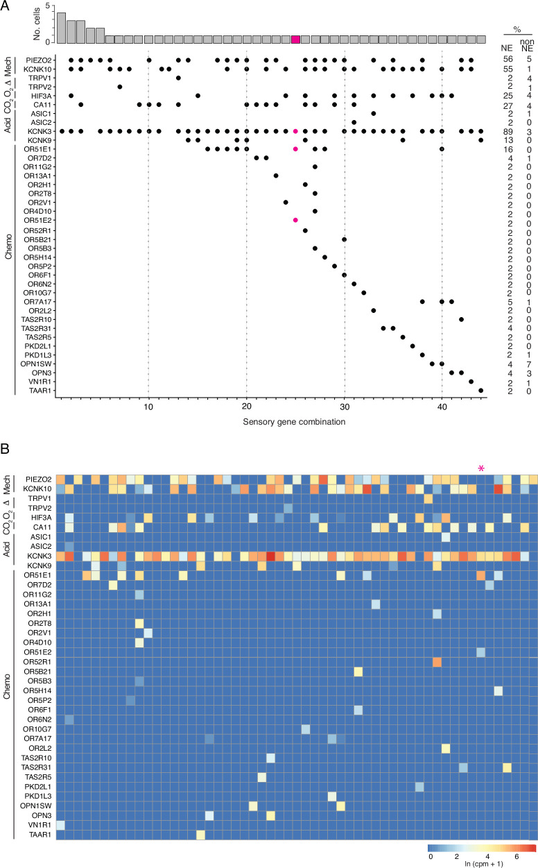 Figure 6—figure supplement 4.