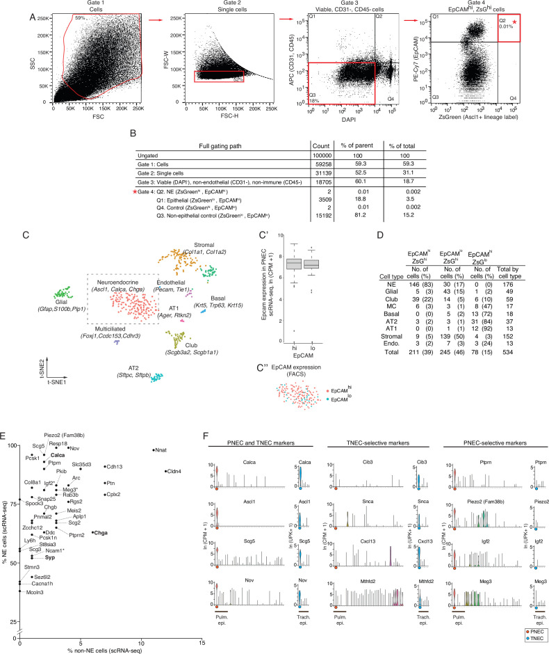 Figure 1—figure supplement 1.