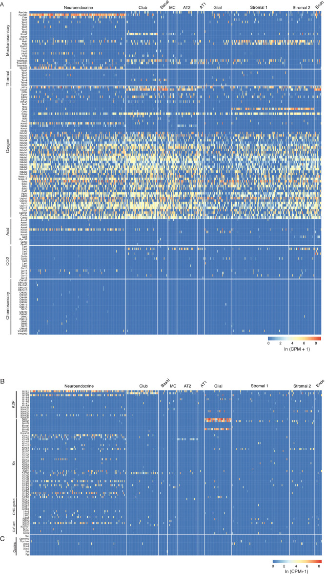 Figure 5—figure supplement 1.