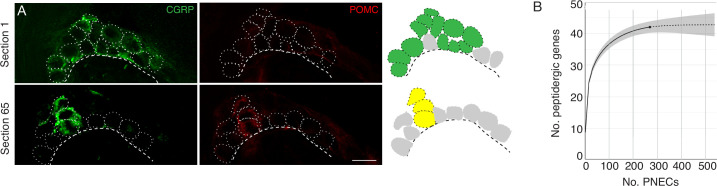 Figure 2—figure supplement 1.