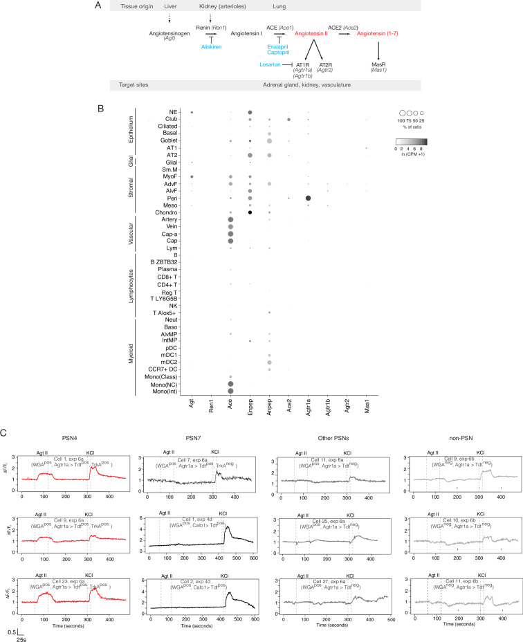 Figure 4—figure supplement 2.