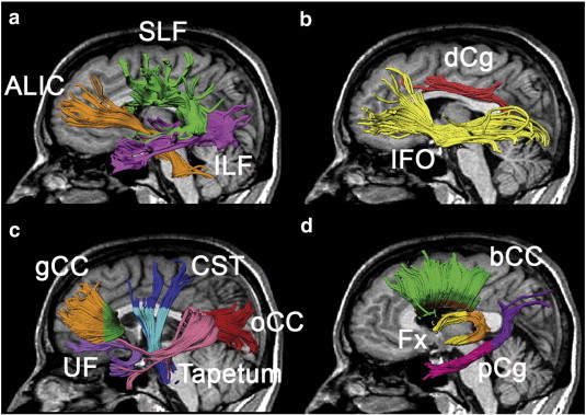 Fig. 1