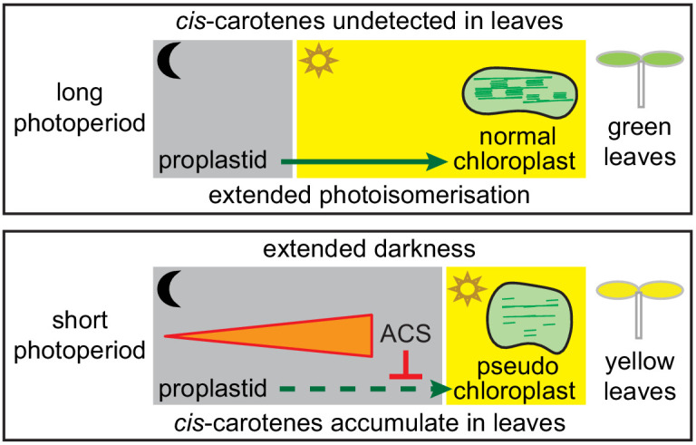 Figure 9.