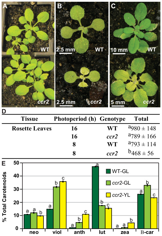 Figure 1—figure supplement 2.