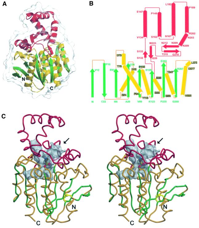 graphic file with name cdf552f2.jpg