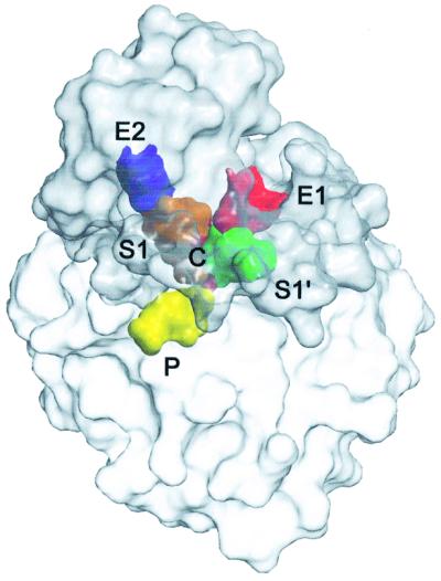 graphic file with name cdf552f5.jpg