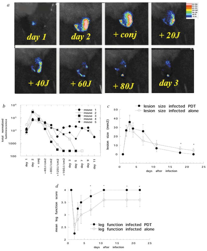 Fig. 2