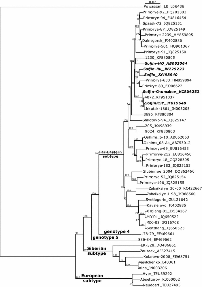 Fig. 1