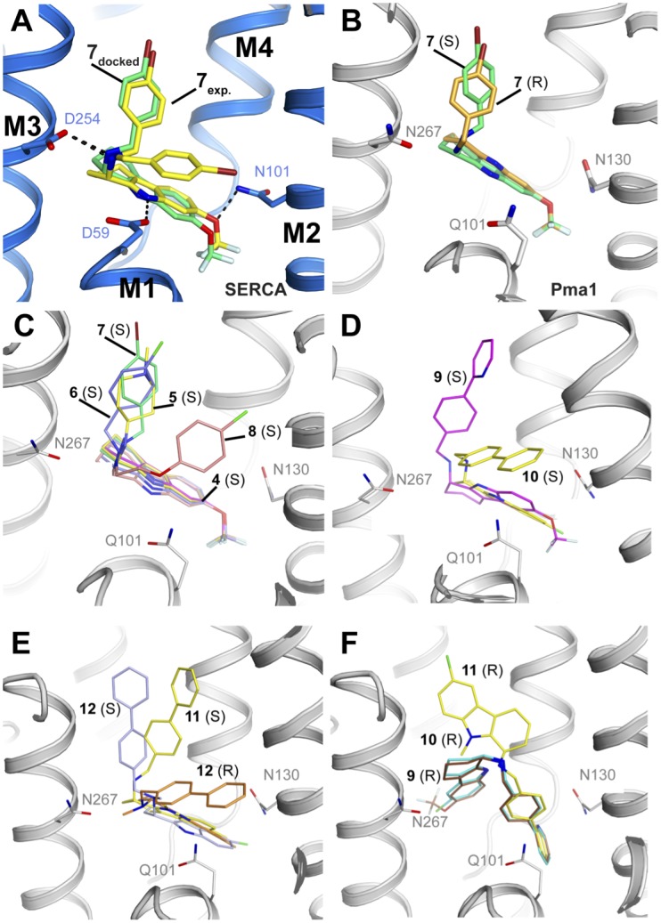 Fig 6