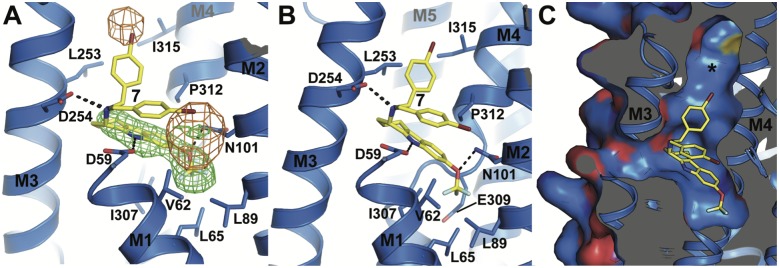 Fig 5