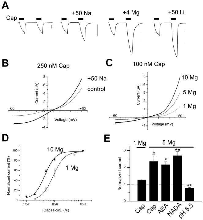  Figure 5. 