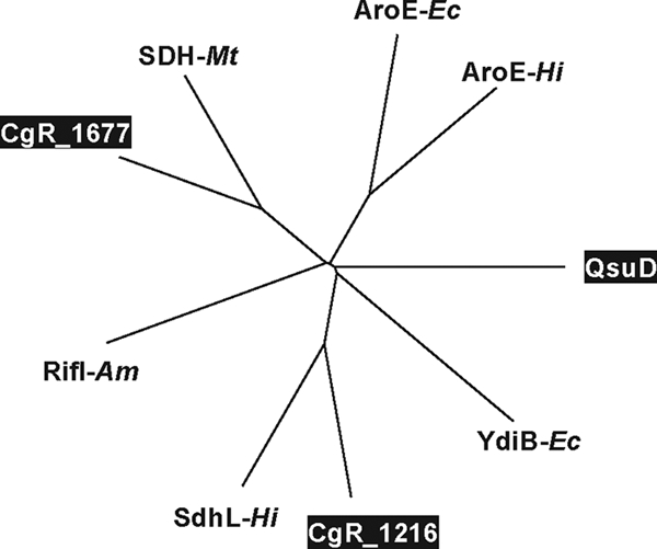 FIG. 7.