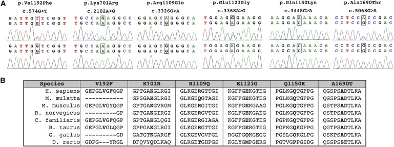 Figure 1