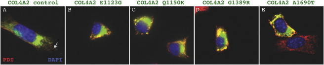 Figure 4