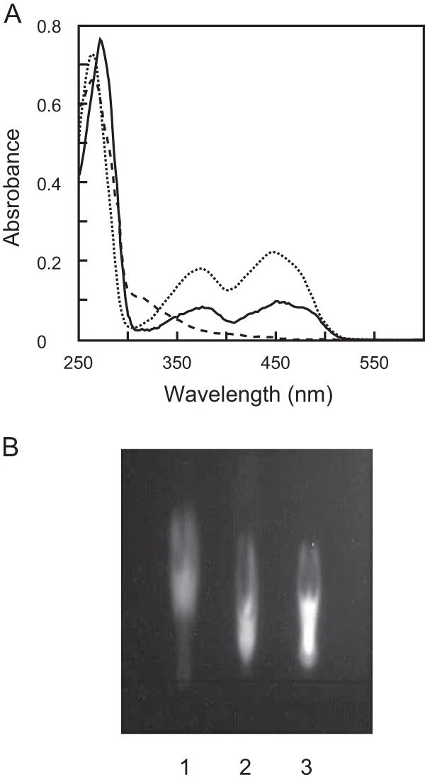 FIG 3