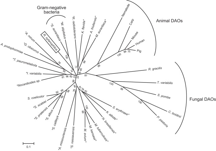 FIG 5