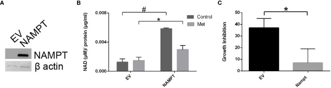 Figure 5