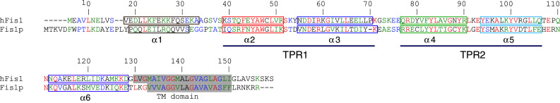 Fig. 7