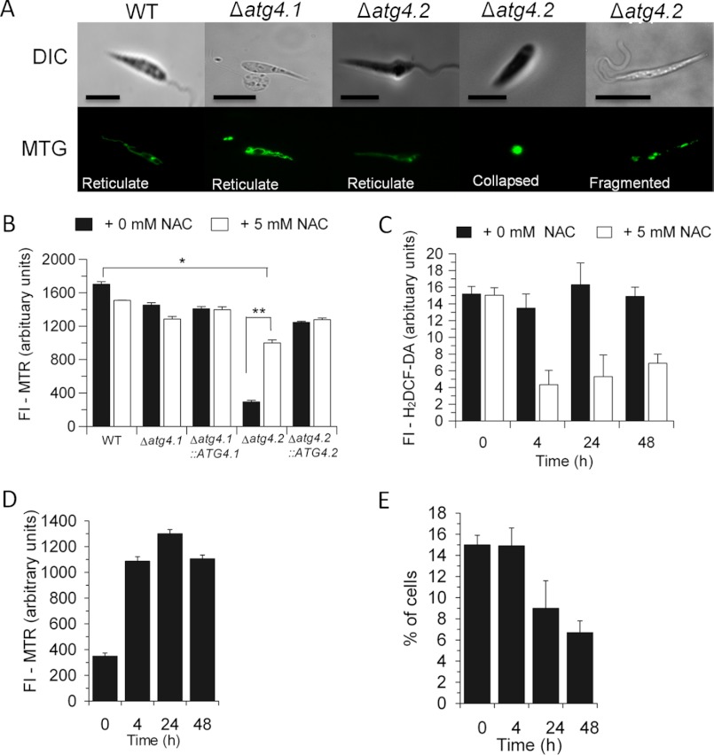 FIGURE 6.