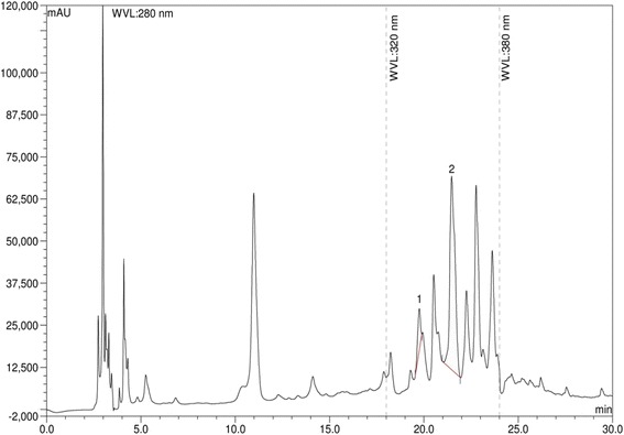 Fig. 2