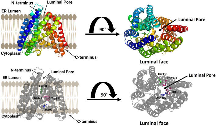 FIGURE 4