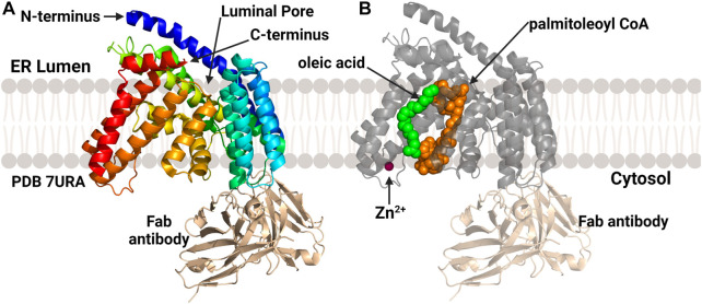 FIGURE 10