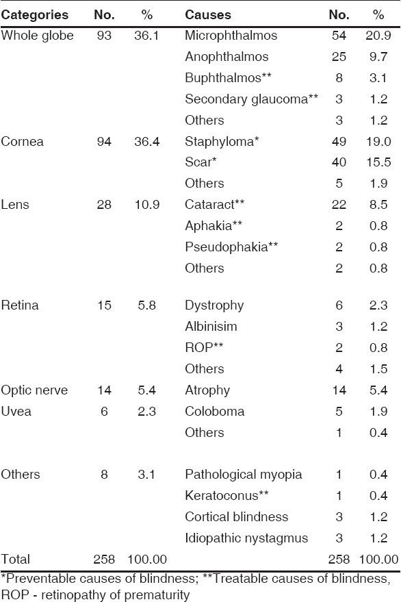 graphic file with name IndianJOphthalmol-56-495-g002.jpg