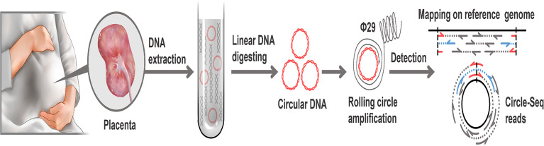 Figure 1