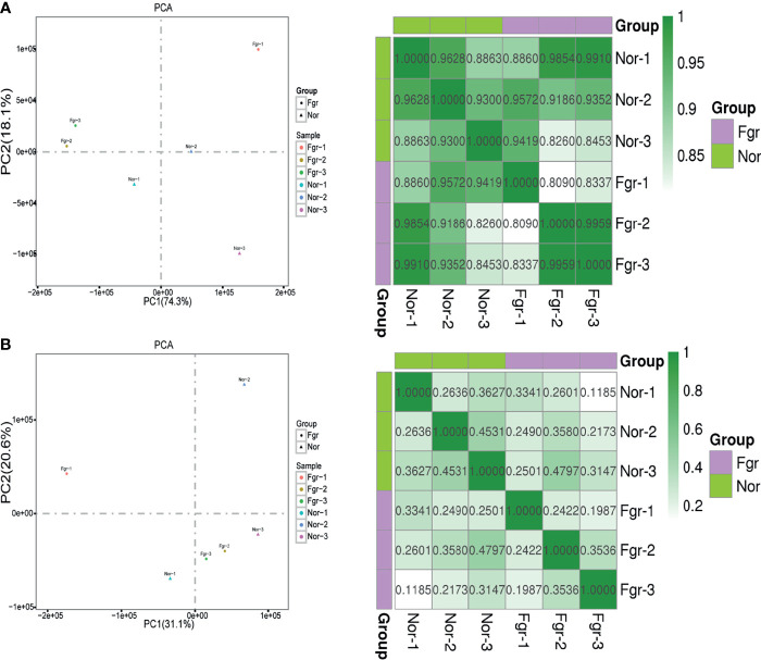 Figure 4