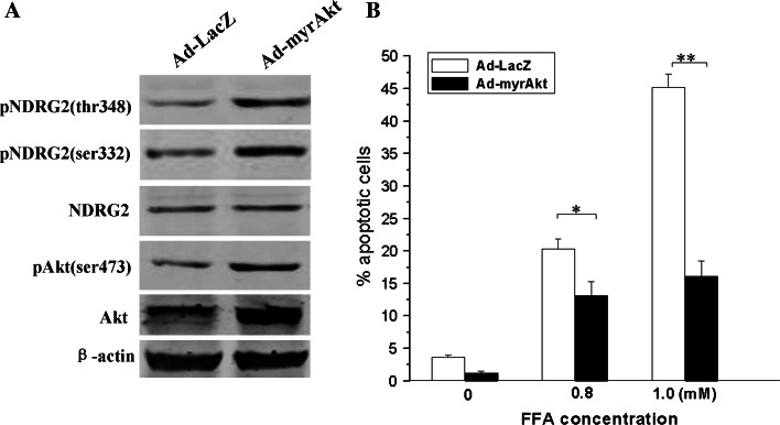 Fig. 6