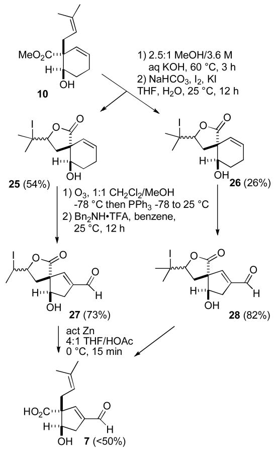 Scheme 4