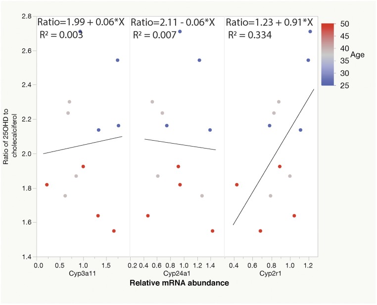 Figure 5.