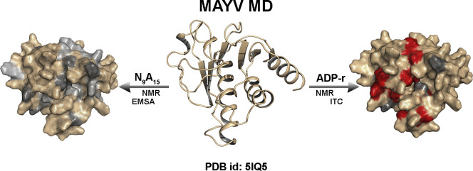 Unlabelled Image