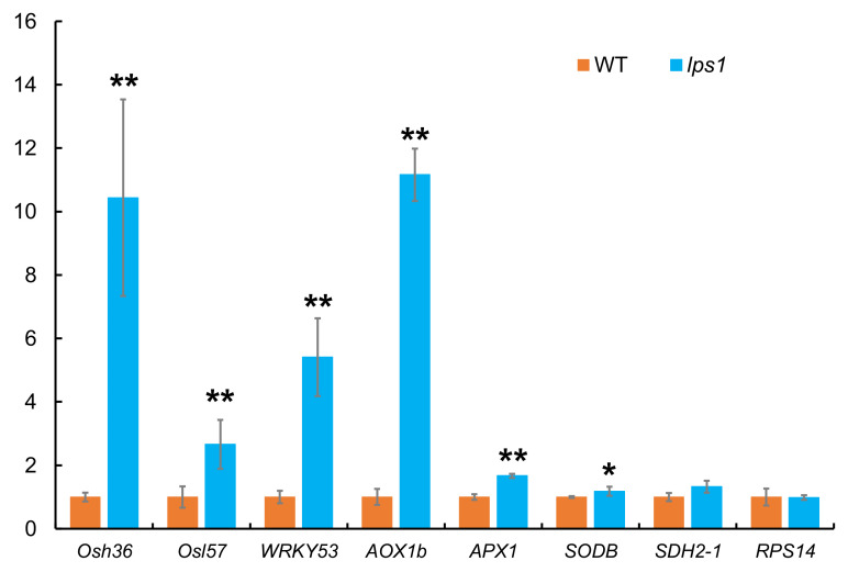 Figure 13