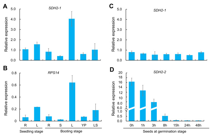 Figure 11