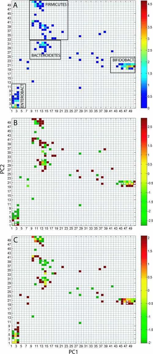 FIG. 2.