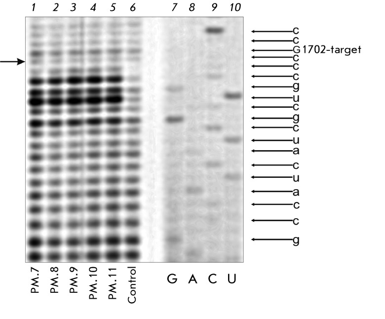 Fig. 5